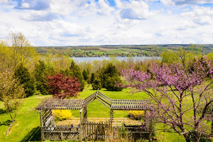 4Seasons-Gazebo-Spring-604014-2016.05.13